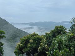 -三亚亚龙湾人间天堂鸟巢度假村