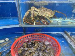 -张树军海鲜(王府壹号店)