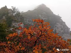 -神农山景区