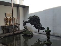 -觀芷隐轩
