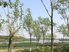-西青郊野公园