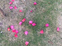 -呼吸森林·生态农庄农家乐私房菜