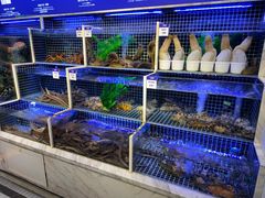 -开海·红岛海鲜虾水饺(石老人店)