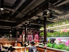 -猫爪爪原切自助烤肉(观音桥阳光世纪店)