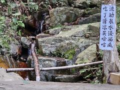 -莫干山风景区