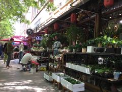 -宝鸡东道花鸟鱼虫市场(吉利花园商场店)