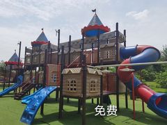 -秀丽东方