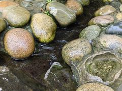 -成都市活水公园