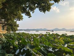-湖畔居茶楼(湖滨店)