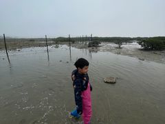 -红树林天天赶海