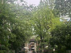 -成都世纪城假日酒店-西楼