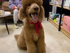 -熊小胖宠物生活馆(天华园店)