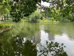 -晓港公园