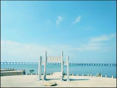 -宝安西湾红树林湿地公园