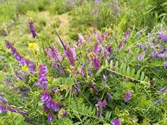 -汉长安城未央宫国家考古遗址公园