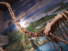 -自贡恐龙博物馆