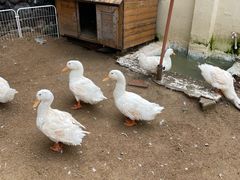 -HERRE·FARM 赫尔露营农场·团建聚会包场