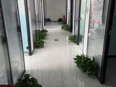 -新航道雅思托福·留学·考研培训(人民广场校区)