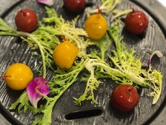 -老洋房花园饭店(绍兴路店)