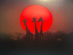 -罗红摄影艺术馆