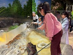 -正佳雨林生态植物园
