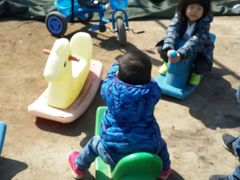 -大自然农场蔬菜草莓采摘园