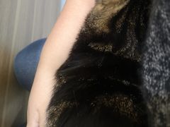 -萌兽医馆·犬猫专科·眼科中心·宠物医院(朝阳门分院)