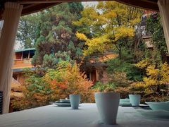 景观位-翠湖里(翠湖南路店)