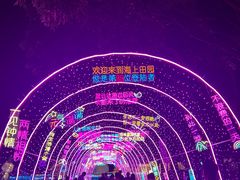 -海上田园