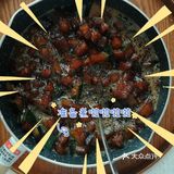 冬瓜气泡