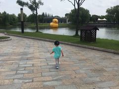 -上海佘山世茂艾美酒店
