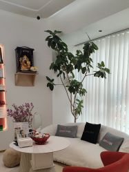 -WENDY·温迪皮肤管理