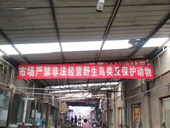 -中环花鸟鱼虫市场