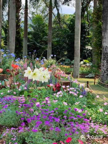 春日限定有fafa有🧃