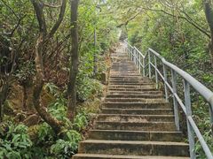 -野狸岛