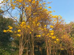 -广州市白云山风景名胜区