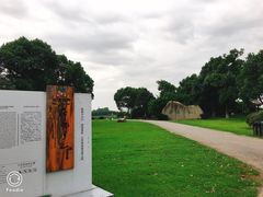 -荷塘月色湿地公园·向阳花洲
