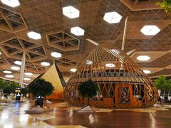 -盖达尔·阿利耶夫国际机场