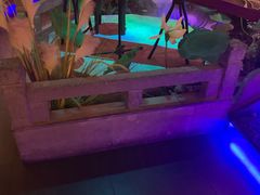 -韵秋荷(宝山龙湖天街店)