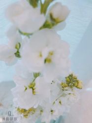 点击看大图 -倩极·精研痘敏肌管理