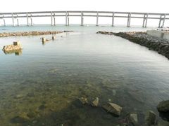 -星海湾跨海大桥