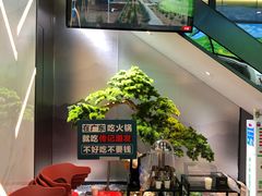 -潮发潮汕牛肉店(永庆坊店)