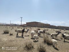 -青海湖国家重点风景名胜区