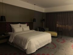 -南京禄口机场雅高铂尔曼大酒店