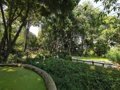 -成都市活水公园