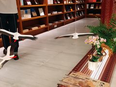 -二酉书店TOYOU BOOKS