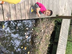 滨湖湿地公园-合肥滨湖国家森林公园