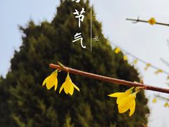 -北京明城墙遗址公园