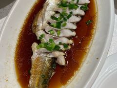 -金美华轩(东方路齐鲁店)