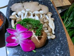 香菇-哥老官重庆美蛙鱼头(松江地中海十八哥店)